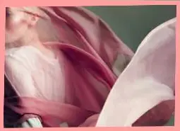 Online Chiffon Fabric Store India