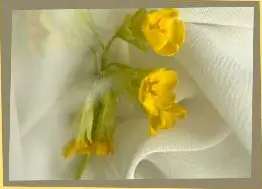 Online Chinon Fabric Store India